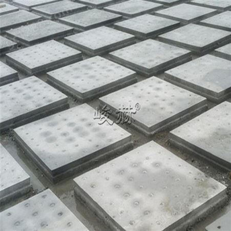 钢筋混凝土滤池滤板-BAF滤池滤板-D型滤池滤板-V型滤池滤板
