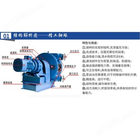 双管软管泵,双管蠕动泵,上海双管软管泵