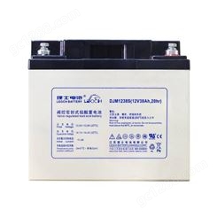 理士电池 理士蓄电池DGM1238 12V38AH胶体电池 直流屏 配电柜 柴油发电机