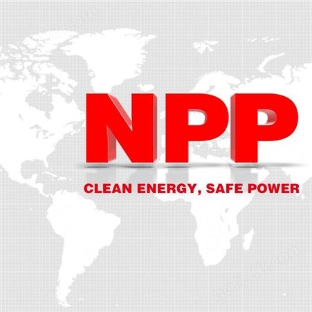 耐普电池 NPP电池专用UPS电源、直流瓶 太阳能 C65-12 12V65AH