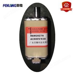 RSM01MZ80KN熔断器订做-FENLONG品牌