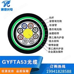 非金属加强芯铠装阻燃光缆(GYFTZA53)2-288芯厂家可定制室外光缆