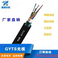 国标光缆GYTA-12B1管道穿管架空光纤 TCGD/通驰光电  12芯铠装光缆