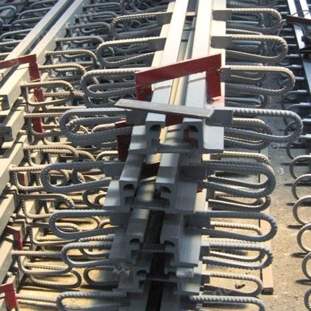 厂家 桥梁伸缩装置 装置异形铝合金伸缩缝160型伸缩缝