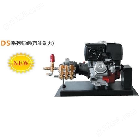 博拓 BOTUO DS系列泵组（汽油动力）DS2135 汽油动力泵头 国产清洗泵头配件