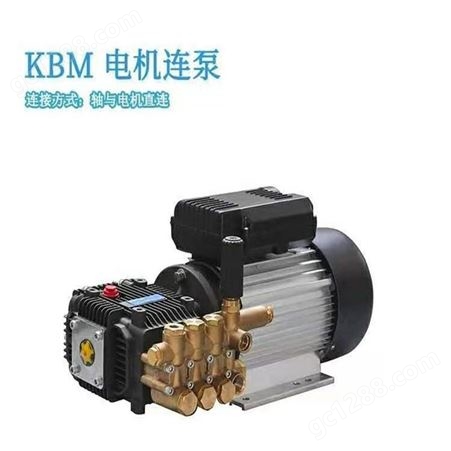 博拓BOTUO 泵组 电机连泵BM 1.5-4-380V 高压清洗机 清洗机配件 铜块配件