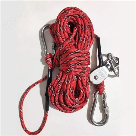 加工定制牵引绳颜色 新珠线带宠物绳 价格咨询 牵引绳 量大从优