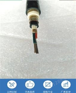 特种定制耐油耐低温电缆