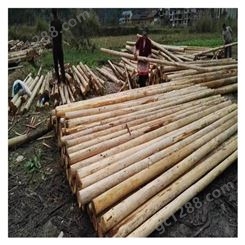 安徽杉木原木批发 杉木杆 杉木棍 木材加工 绿化树木支撑杆出售