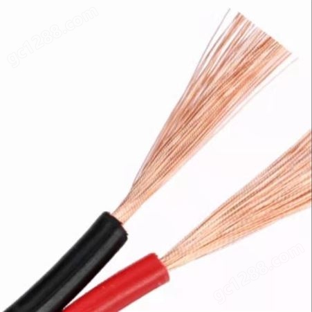  弘泰线缆一枝秀 红黑双绞线消防信号线电源线阻燃电线RVS 2*1.0