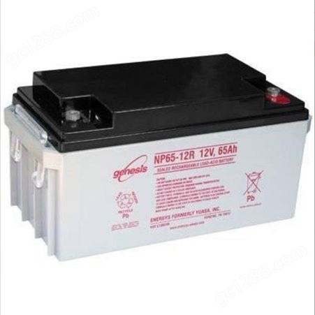 美国霍克蓄电池RA12-100H 12V100AH胶体蓄电池