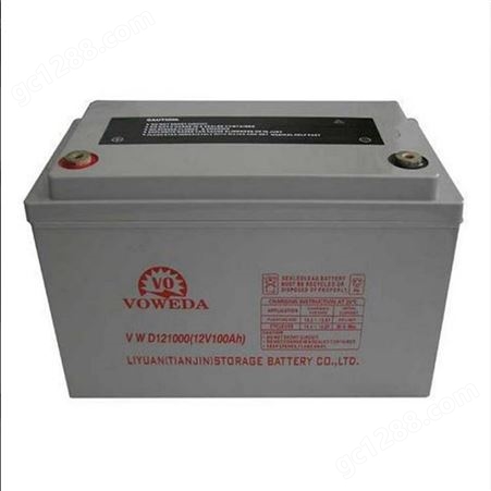 沃威达VOWEDA蓄电池VWD12650 12V65AH 船舶 仪器 工业蓄电池