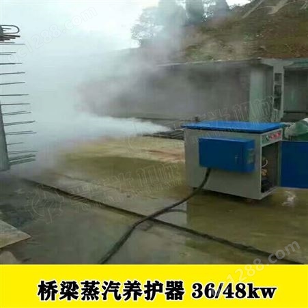 黑龙江鹤岗T粱蒸汽养护机小型蒸汽锅炉