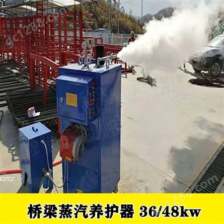 黑龙江鹤岗T粱蒸汽养护机小型蒸汽锅炉