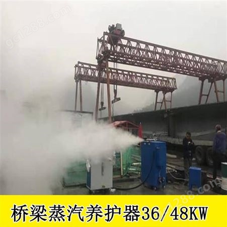 河南新乡燃油桥梁蒸汽养护器小型蒸汽发生器