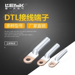 雷一直销国标DT-10铜铝电缆接线端子 10-400平方铜铝鼻子