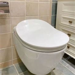德国唯宝智能挂墙式座厕智能盖板座便器座温不加热故障维修
