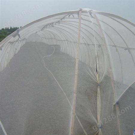供应蔬菜防虫网   聚乙烯防虫网  防虫网   防虫网价格