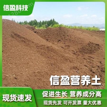 北京供应多肉营养土 花卉植物营养土 天然有机土 25公斤袋装批发