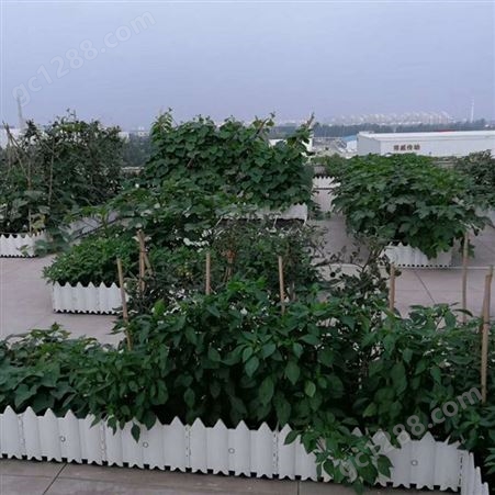 天津厂家有机花卉植物营养土屋顶种植庭院营养土提供罐装有大小包装