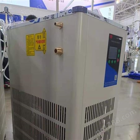 DLSB-10/10低温冷却液循环泵 低温至-10°C