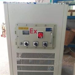 DFY（EX）-100L防爆型低温恒温搅拌反应浴槽
