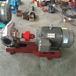 KCB-300齿轮油泵 电动油泵 带阀输送机油泵 泊兴东定制