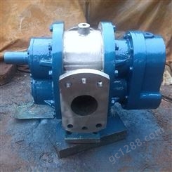 罗茨泵 支持定制 保温罗茨泵 高粘度罗茨油泵 欢迎来电