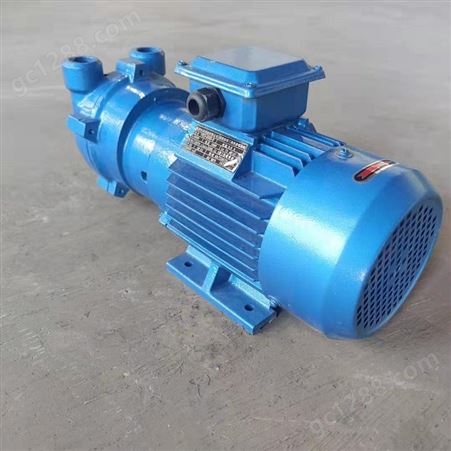 诺西德SKA水环式真空泵 铸铁水环式真空泵 2BV水环式真空泵