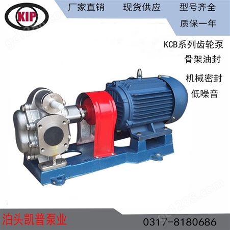 供应洗涤剂输送泵  KCB齿轮泵  合金齿轮泵  实体厂家质量优  放心购买