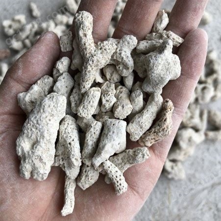大量供应珊瑚石 珊瑚砂珊瑚石 盆景铺面珊瑚骨