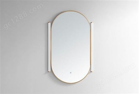 异形不锈钢镜框-不锈钢双灯管椭圆镜框M011