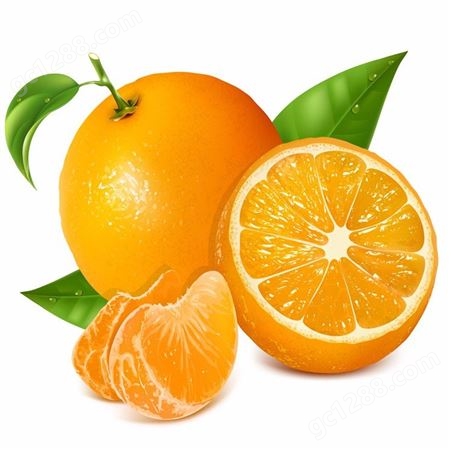 葡萄罐头 橘子罐头 椰果罐头_厂家定制 欢迎参观