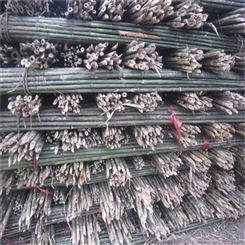 山竹批发价 4米山竹 园林标准竹竿 果园支撑竹杆标准 江西发货