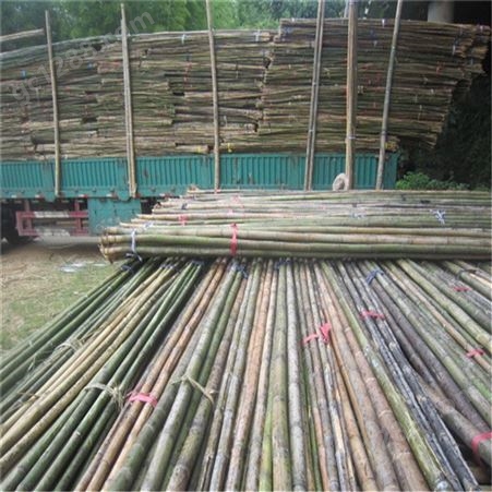 园林工程工地 绿化防风防寒竹杆批发