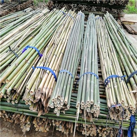 山竹批发价 4米山竹 园林标准竹竿 果园支撑竹杆标准 江西发货