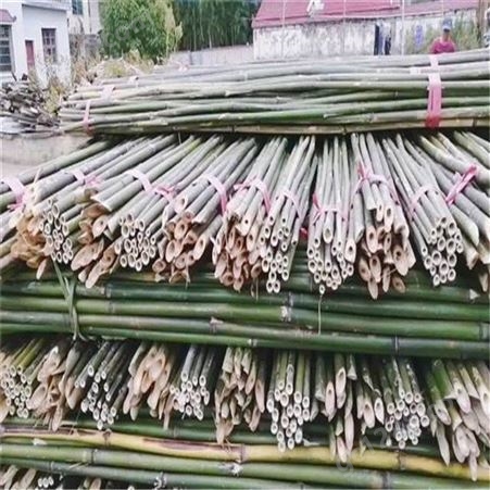 供应江西3米-4米枸杞竹竿 绑扶枸杞树苗专用的小竹竿