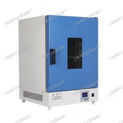 YHG-9080A250度电热恒温鼓风干燥箱 烤箱 高温烘箱食品行业专用