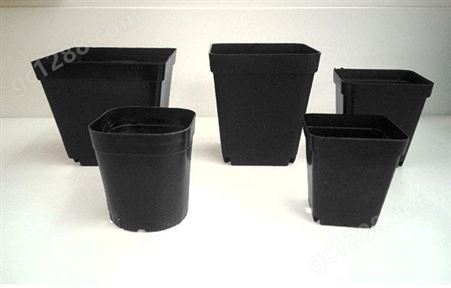 8.5x8.5小黑方 多肉植物花盆 黑色塑料花盆