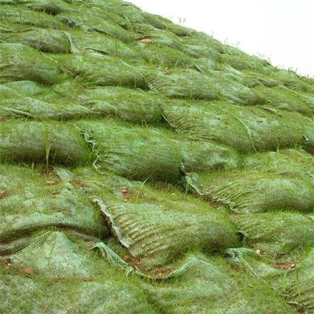 防汛植生袋 长丝生态袋 绿色防护 直营