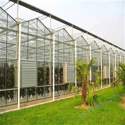 春丰温室-新连体大棚玻璃温室-可根据需求定制智能温室工程-外形美观