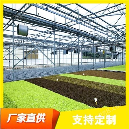 春丰温室大棚-蔬菜日光温室工程-可上门指导安装加工定制-外形美观