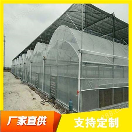 春丰温室工程-蔬菜大棚玻璃温室-可根据需求定制智能温室工程-保温节能