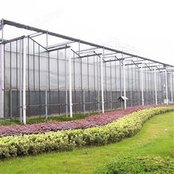 春丰温室 玻璃温室工程 花卉种植日光温室大棚