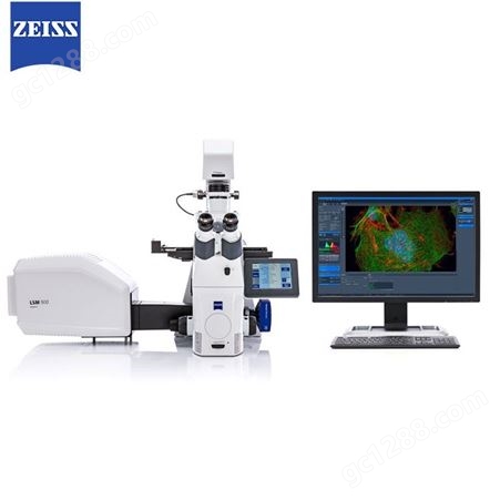 蔡司共聚焦显微镜 LSM980withAiryscan2激光共聚焦显微镜 共聚焦显微镜