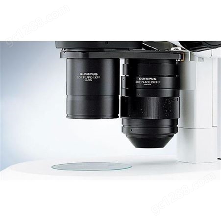 SZX16体视显微镜 奥林巴斯显微镜 富莱显微镜厂家