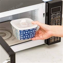 保鲜盒陶瓷保鲜碗 微波炉饭盒带盖 冰箱密封碗泡面碗方盒