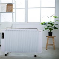 石墨烯电暖器 家用建筑内办公室立式壁挂两用保温发热