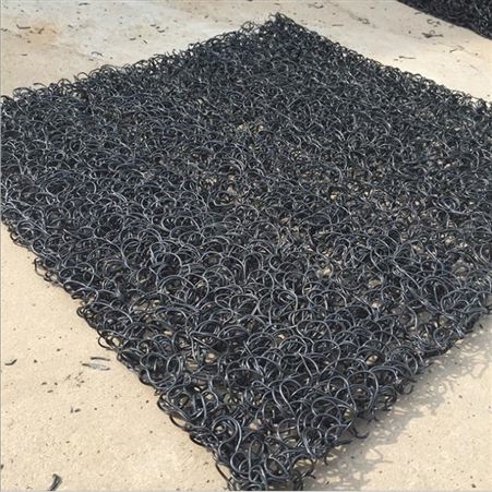 塑料盲板厂家 山东土工席垫厂家 高强抗压 1公分-10公分可定制 排水土工席垫