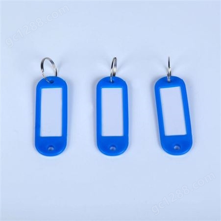 厂家定制彩色塑料钥匙牌_分类钥匙扣_管理储存号码牌_钥匙圈环扣定制